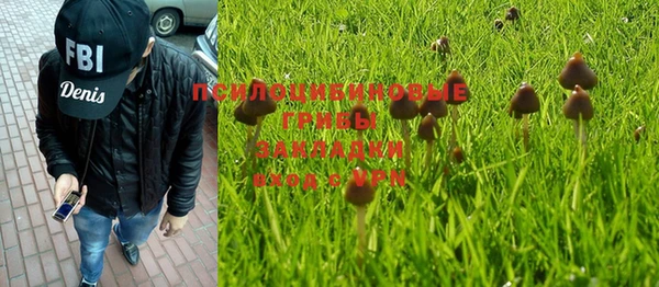 прущая мука Абаза