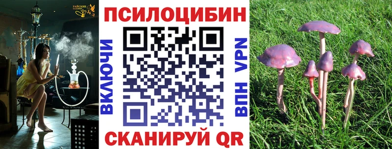 Галлюциногенные грибы Cubensis  что такое   МЕГА онион  Шлиссельбург 